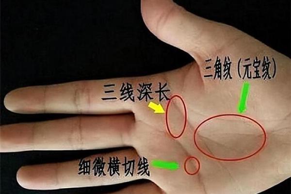 羽毛纹在手相中的象征与解读：你的人生密码
