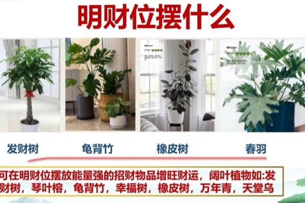财位缺角影响财运 如何化解提升运势的方法