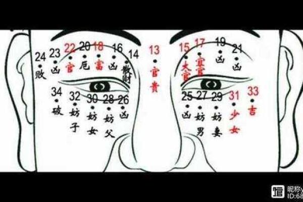 面相与流年：如何通过面部特征预测未来运势