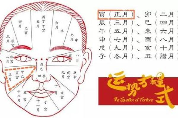 面相与流年：如何通过面部特征预测未来运势