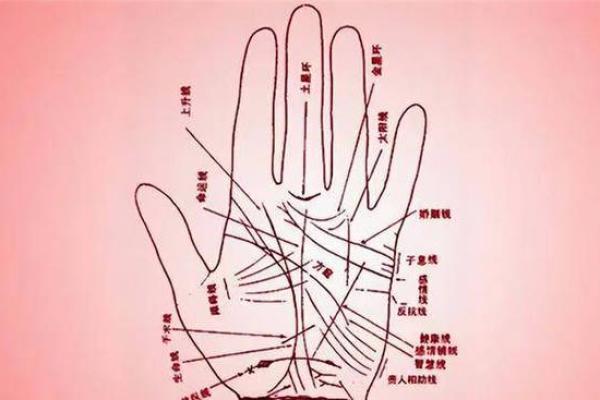 手相四方格揭示命运秘密：如何解读掌中线条的深层含义
