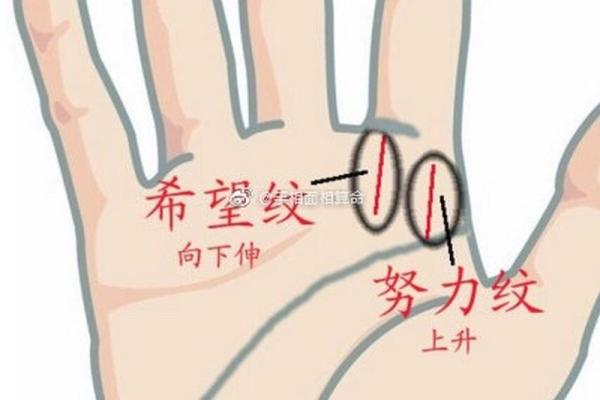 手相命运纹与人生轨迹：你从未注意到的生命密码