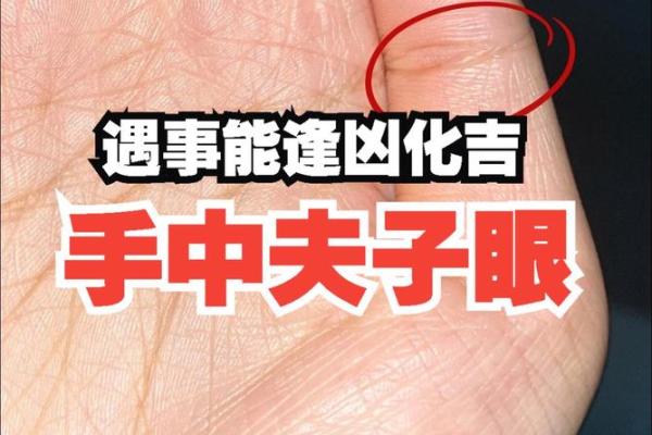 手相智慧眼：揭示你未来的命运密码