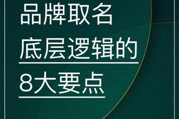 从零开始：公司起名大师帮你突破品牌命名难题