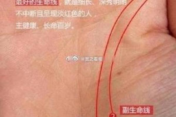 通过手相分析人生运势：解读手掌线条的深层含义