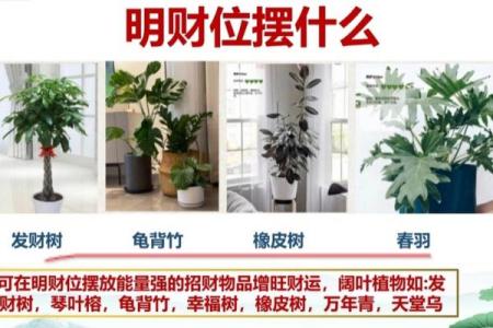 财位缺角影响财运 如何化解提升运势的方法