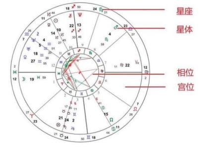 如何选择适合自己的占星排盘软件