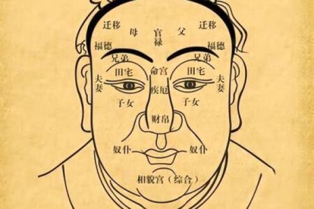 鼻翼宽面相与财富运势的关系探讨