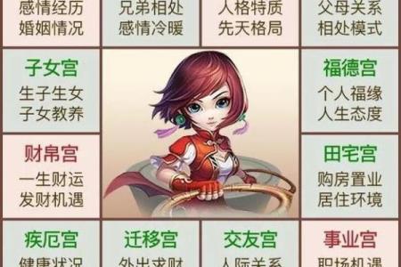 探索紫微排盘软件中的深层命理奥秘