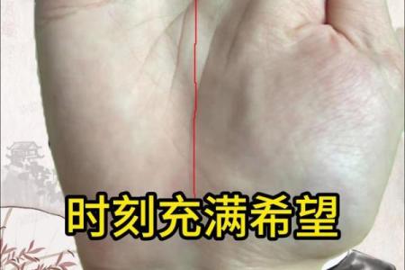 手相四方格揭示命运秘密：如何解读掌中线条的深层含义
