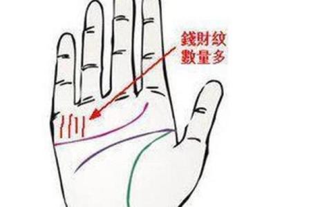 手相命运纹与人生轨迹：你从未注意到的生命密码