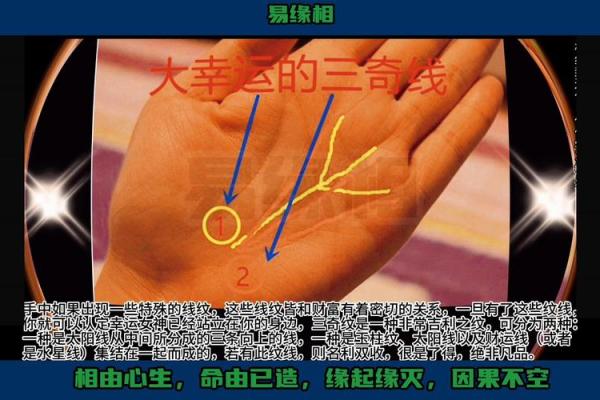易奇手相入门：如何通过手掌看清未来