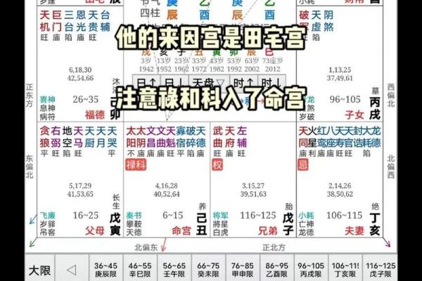 紫微斗数与八字命理的融合分析