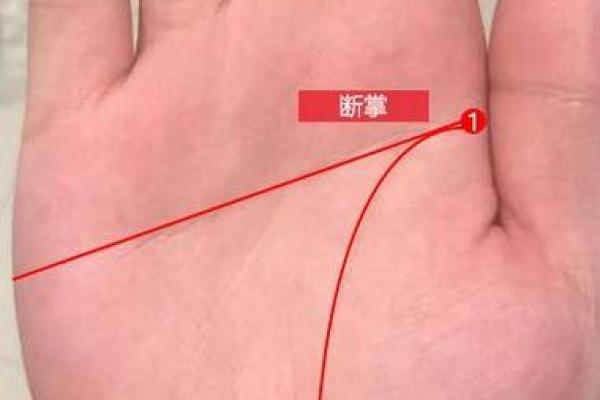 断掌与命运：如何解读断掌线带来的生命轨迹