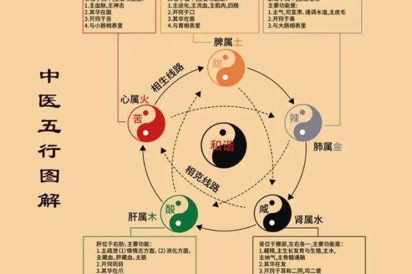 肝在五行中的属性与健康关系分析
