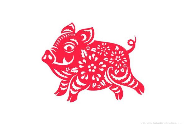 出生属相与命运运势详解