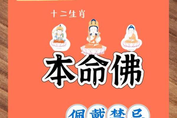 出生属相与命运运势详解