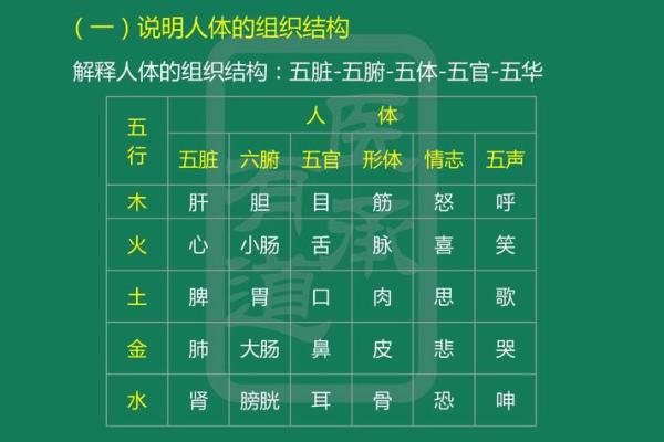 五行理论与五脏功能的深层次关联解析
