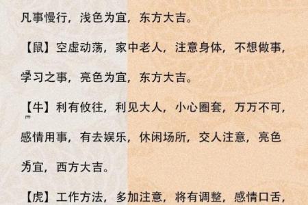 十二生肖的力量：如何根据属相调整人生运势