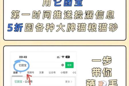 猫的面相与行为分析：猫咪面部特征如何影响它的互动方式