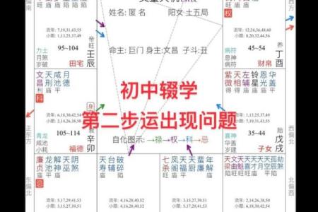 紫微斗数与八字命理的融合分析