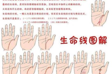 断掌与命运：如何解读断掌线带来的生命轨迹