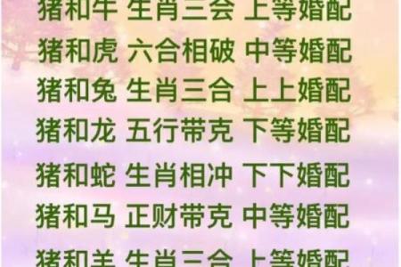 男羊女猪婚姻能否长久？深度解析性格与情感的契合度