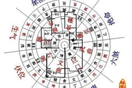 多肉植物放在财位风水好不好揭秘