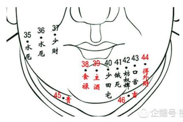 探索痣相大全中的秘密与人生轨迹