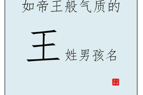 为王姓男宝宝挑选一个既响亮又有内涵的名字
