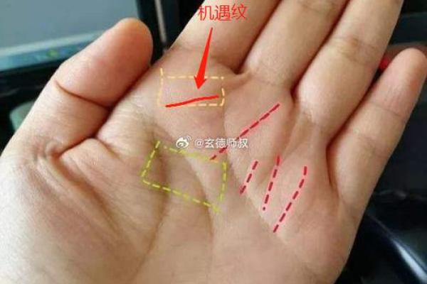 揭秘老板命手相特征，帮助你识别成功的未来