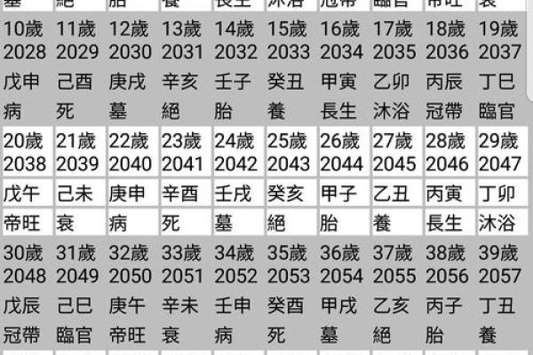 通过四柱排盘软件发现潜在的人生机会