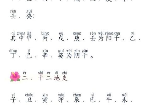 天干地支分析与解读