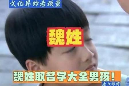 魏姓男孩女孩起名推荐：赋予宝宝独特的名字寓意