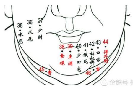 探索痣相大全中的秘密与人生轨迹