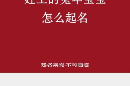 为王姓男宝宝挑选一个既响亮又有内涵的名字