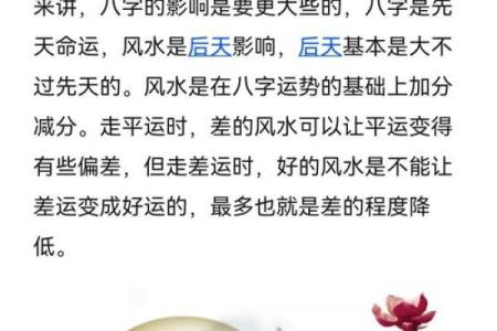 八字命运揭示人生轨迹的奥秘