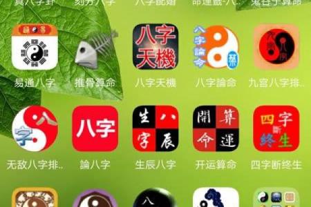 元亨八字排盘解析与命理运势预测指南