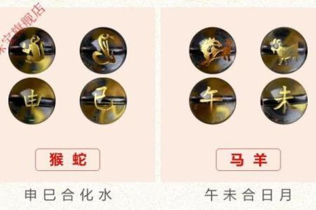 男羊女鼠婚姻能否长久？从性格相容性看未来
