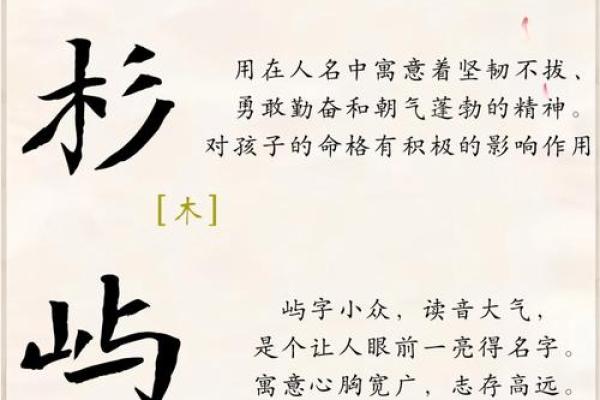 中午出生男宝宝起名指南：挑选寓意深远的名字技巧