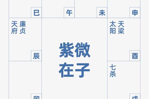 八字排盘手机版：掌握命理的便捷工具