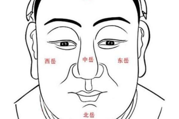 男人富贵面相的三大显著迹象