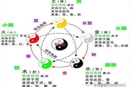 天干地支与身体部位的深层联系探秘