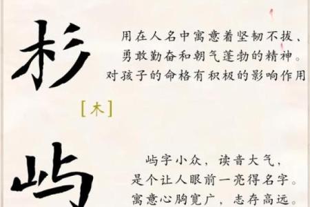 中午出生男宝宝起名指南：挑选寓意深远的名字技巧