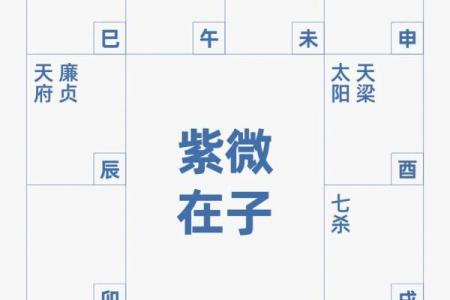 八字排盘手机版：掌握命理的便捷工具