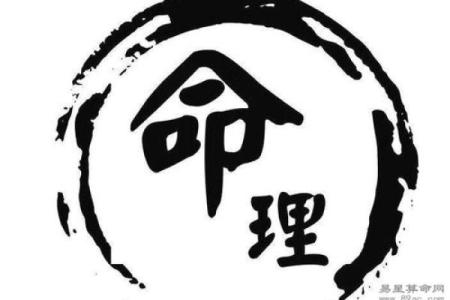 八字日主分析：如何解读个人命运的核心元素