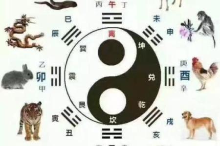 如何通过属相配对查询找到理想伴侣