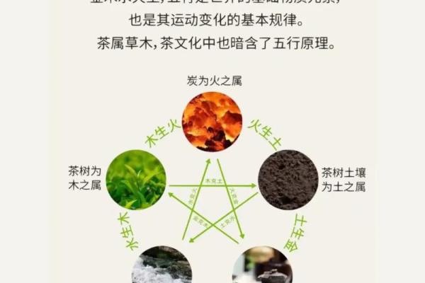 五行属性解析：如何判断事物属于哪个五行类别