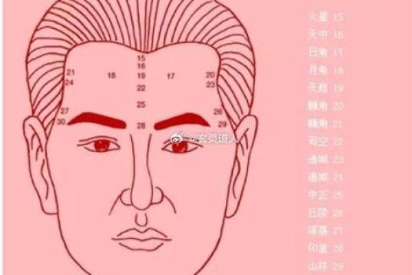 发财面相解析：如何从面相中看出财富运势