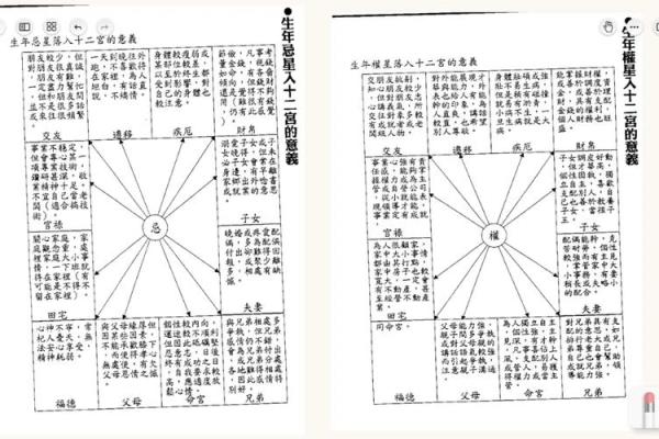 紫微斗数中的四化星分析